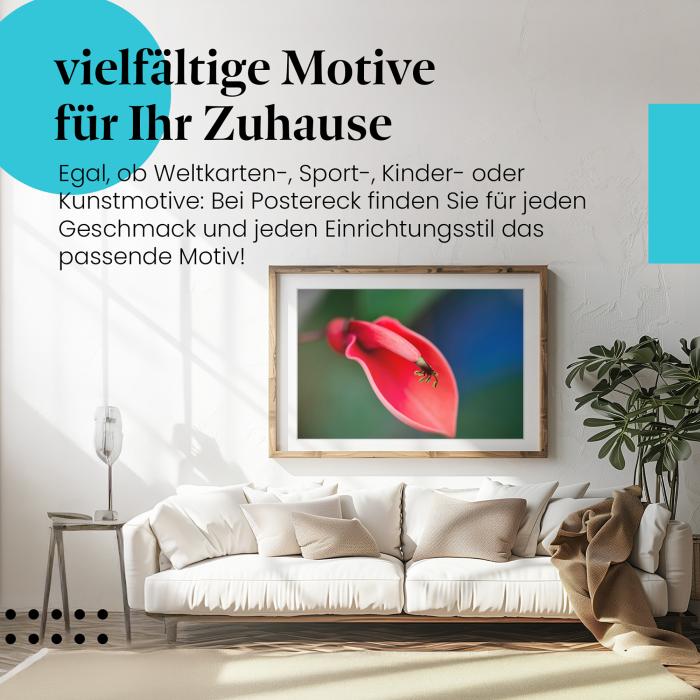 Stylisches Leinwandbild: Exotische Blütenpracht: Makroaufnahme einer roten Blüte.